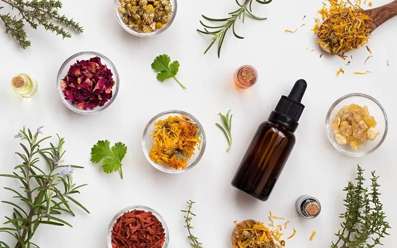 Gentle Aroma Extraction delicate aroma compounds preserved by rotary evaporator